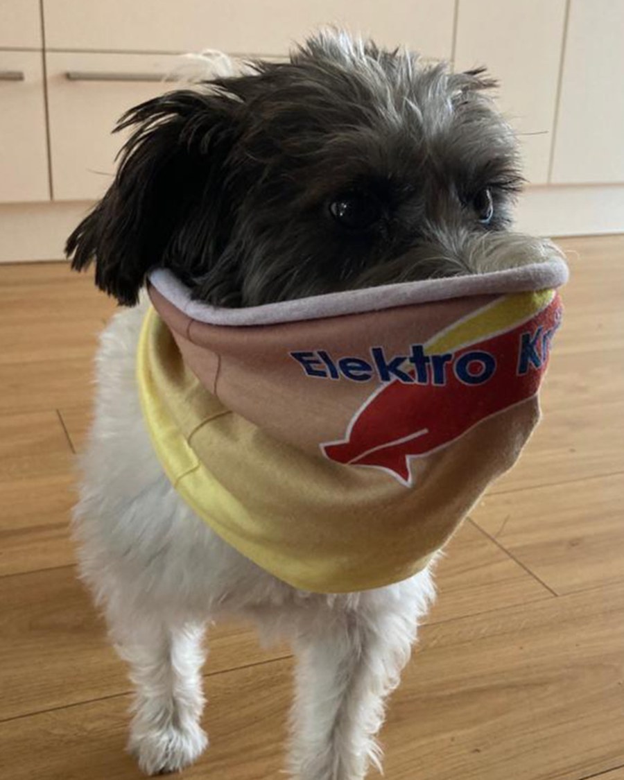 Gefeier bei Elektro Kröschel